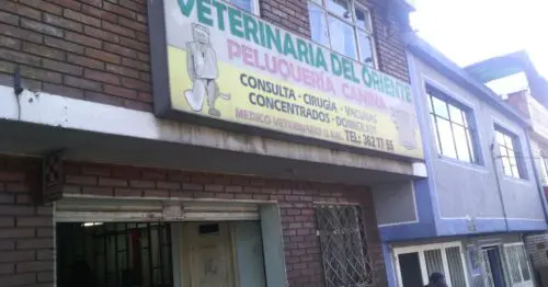 VETERINARIA DEL ORIENTE VETERINARIA DEL ORIENTE